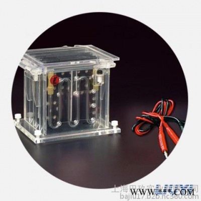 DYCZ-40B轉印電泳儀（中號）|北京六一轉印電泳儀報價|轉印電泳儀廠家