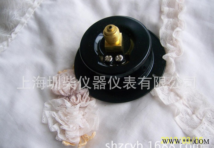 2.5"  63MM 電泳鐵殼軸向前邊壓力表