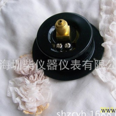 2.5"  63MM 電泳鐵殼軸向前邊壓力表